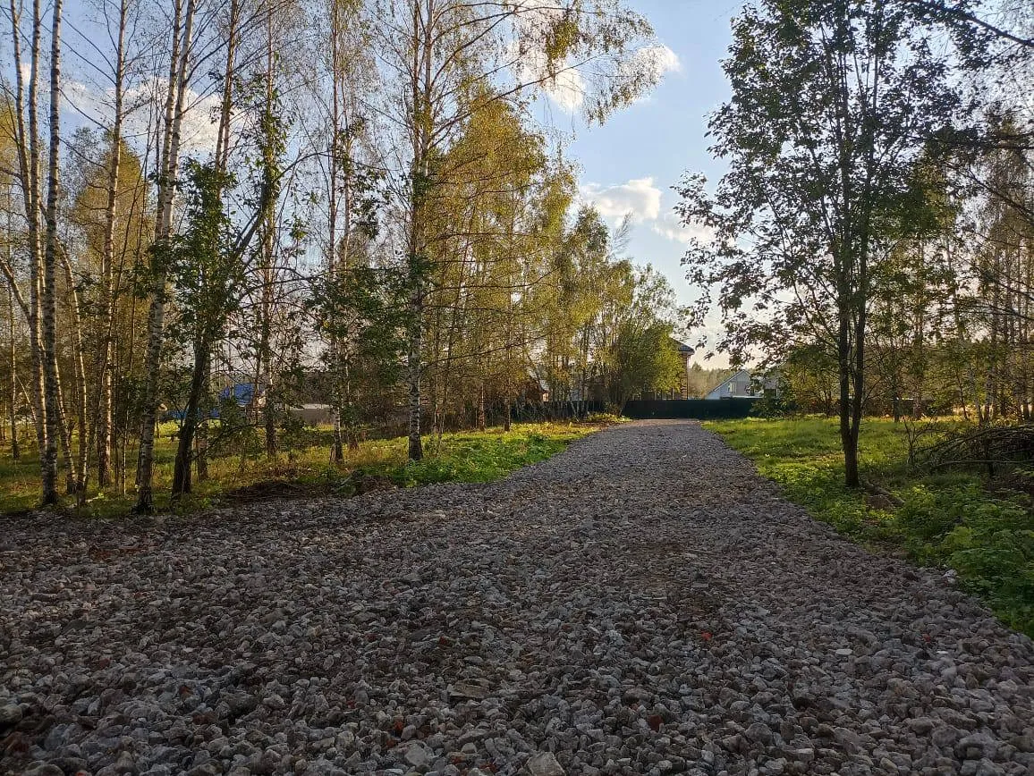 Фото Московская область, Пушкинский городской округ, Лесная Опушка СНТ