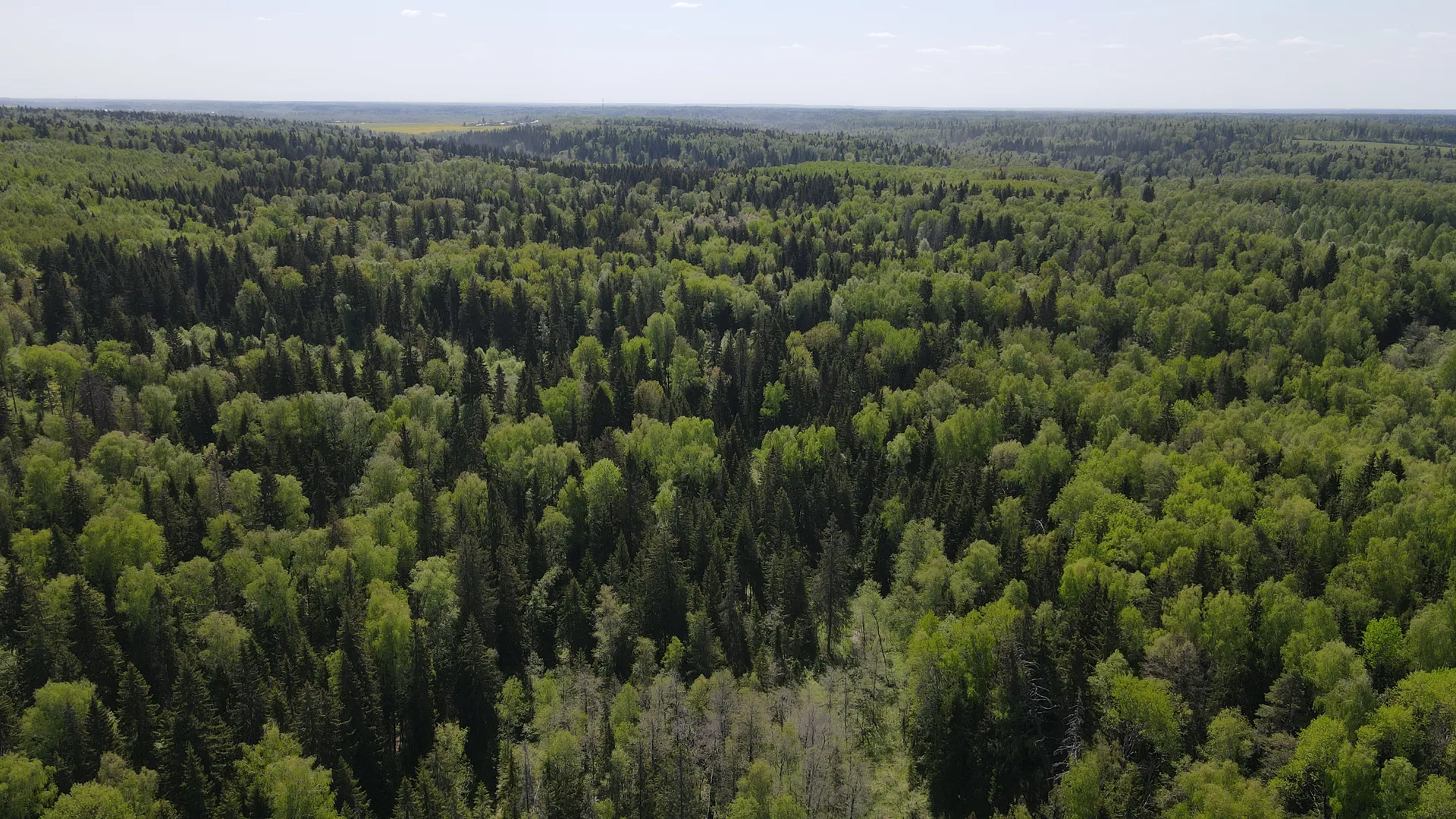 Объект MEZON 168